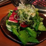 生粋 - 塩だれサラダ