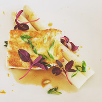 Benoit Alain Ducasse - 