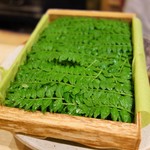 富小路 やま岸 - 