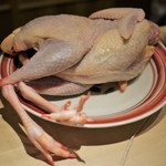 富小路 やま岸 - 