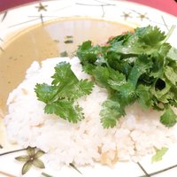 シェ・イノ - トマトで煮込んだ奥州仔羊のキーマとグリーンカレー、パクチー添え 1000円