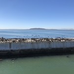 Nelson Mandela Gateway Museum Shop - なんか居るけど？