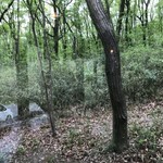 蕎麦と料理　ら - 