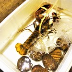 KAKIYA シェル＆シュリンプ - 