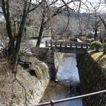 哲学の道の様子