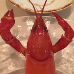 マ プール - 食べたら怒った　ガオー！