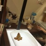 ベイカリーみかく - えぼしダマンド、撮影され中