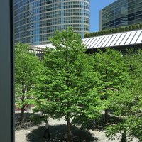 アロマクラシコ - 