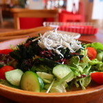 ドッグガーデンカフェ 鵠沼店