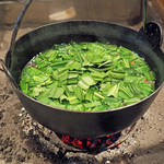 柳家 - 春の山菜、行者ニンニク、しめじ、ごぼう、こんにゃく、わらびのお鍋