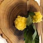 stesso e Magari CHIC - 2018/5