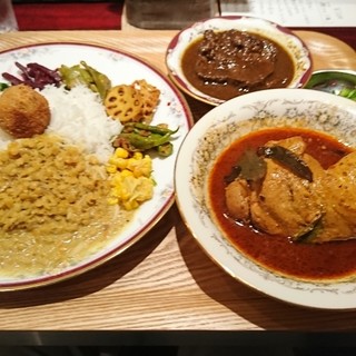 Curry シバ_1