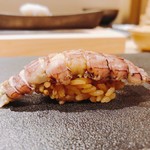 はっこく - 2018.5.  蝦蛄