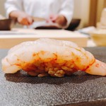 はっこく - 2018.5.  葡萄海老