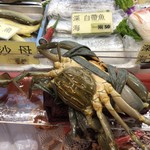 阿清生猛活海鮮 - 