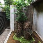 レフェルヴェソンス - 