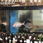 Washokuya Nakani-Shi - 店内には生簀・水槽も有る