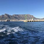 ALPHA 1 - テーブルマウンテン