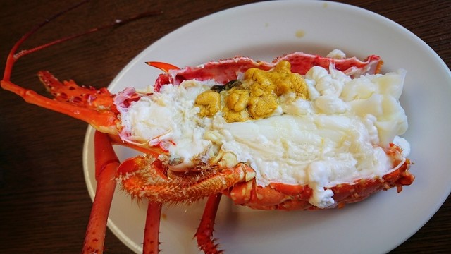 中平 なかひら 須崎市その他 魚介料理 海鮮料理 食べログ