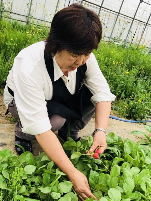 緑のイスキア 鶴岡のカフェ &ndash; 自然と和の融合でくつろぎの時間