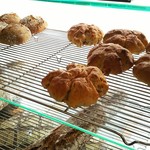 BEAVER BREAD - 