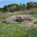 亀甲苑 - 天然記念物の「亀甲岩」