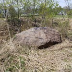 亀甲苑 - 天然記念物の「亀甲岩」