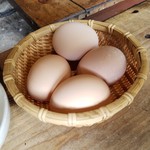 亀甲苑 - 高原コーチン(名古屋コーチン)の卵♪