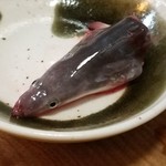 かぶと - 養殖の頭