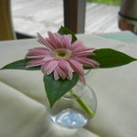 ロワゾブルー - 可愛いテーブルのお花