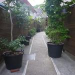 サ・マーシュ - 