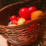 シェ・ホンダ - 