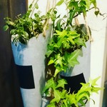 クレープリー チロル - 