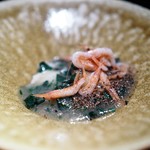 エクアトゥール - サクラエビ　アイナメフリット　オマール海老