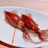 匠 進吾 - ホタルイカ