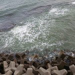 創作割烹 潮乃美 - 波の音がBGMです！