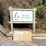 The Best of South Africa - ボルダーズビーチ