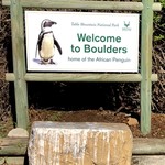 Cafe Penguino - 2018年5月。ボルダーズビーチへ