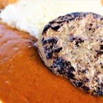 Shinshu Gurume Nojo - ハンバーグカレー