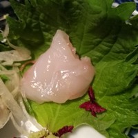 近又 - グジのお刺身は絶品