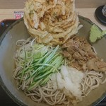 箱根そば - 冷やし肉おろし490+かき揚げ