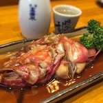 86230923 - おにかさごかぶと