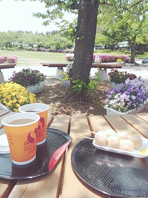 日和山 ひょっこり島 売店 - 酒田（その他）の写真