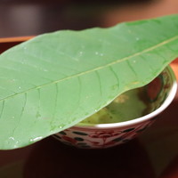 杦 - 自家製おぼろ豆腐、柚子