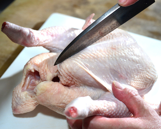 Shobaiya Kogame photo 3