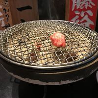 飛騨牛一頭家 馬喰一代 銀座 - 
