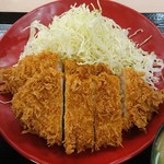 かつや - ダブルロースカツ定食 感謝価格790円