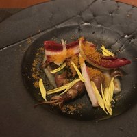 オッジ ダルマット 西麻布店 - 