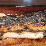 うなぎ 魚政 - 裏皮