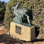 Lighthouse Five - ケープ半島に住むバブーン（今回遭遇できず。）